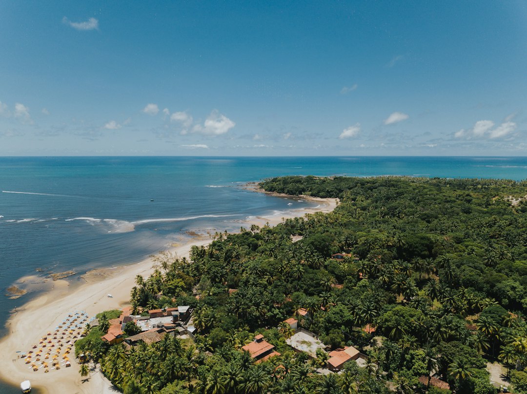 Aerial view of a sandy beach, palm trees and coastal buildings in Boipeba, Bahia