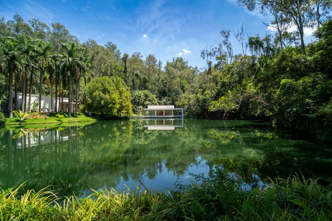 Lake reflecting tropical trees and a pavilion at Inhotim, Minas Gerais